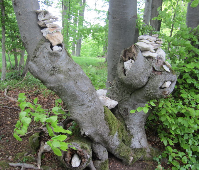 Baum-Stein-Männchen