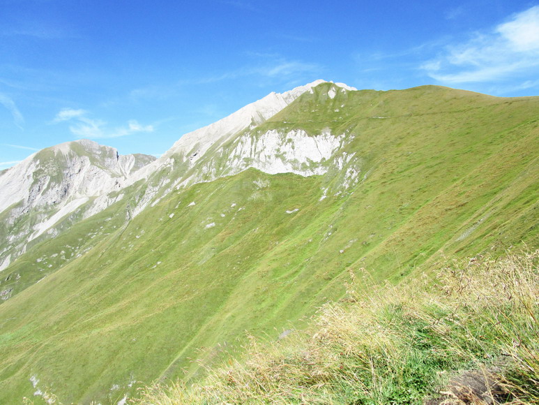 Zeiger-Kofelkopf 2607 m.