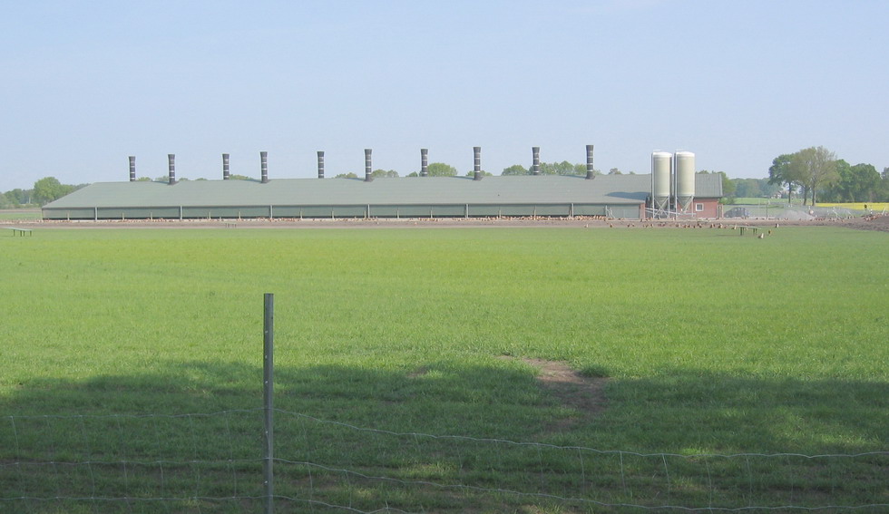Landwirtschaft ( Hühnerstall ) 2011