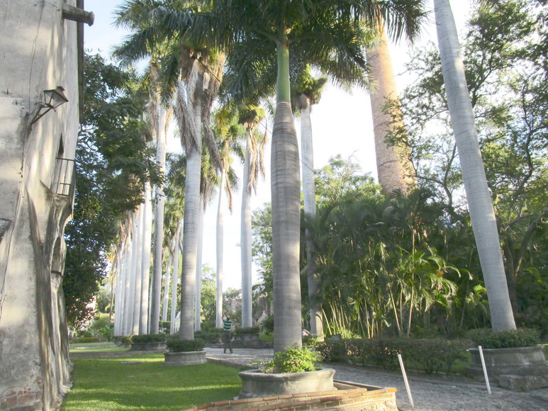 Sehr gepflegter Park auf der Hacienda Vistahermosa
