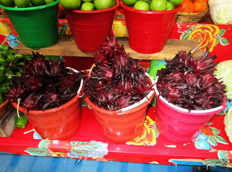 Exotische Früchte auf dem Markt in Cristobal