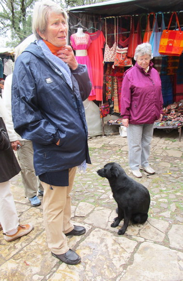 Sogar der Markthund hört unserer Reiseleiterin zu.