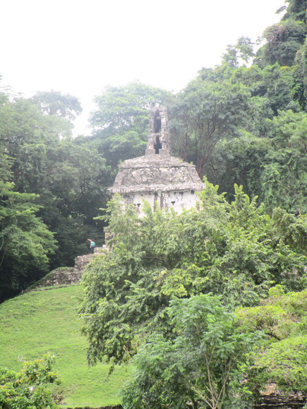 Der Urwald bei den Maya-Anlagen in Palenque ist allgegenwärtig.