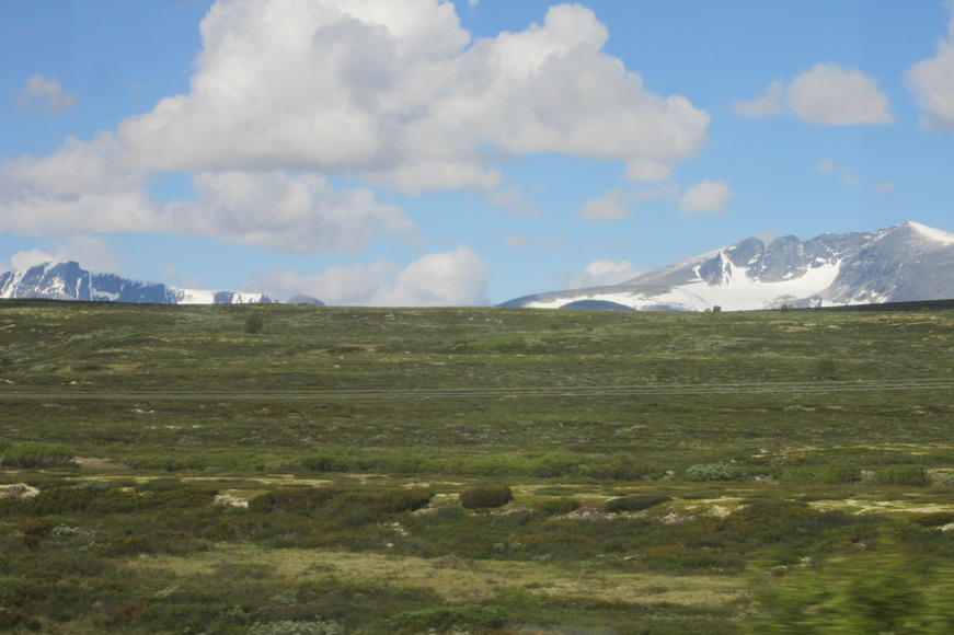 Tundra und Elch, Rentier und Moschusochsen Heimat da Nationalpark