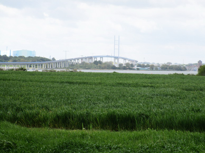 Die neue Brücke von Stralsund nach Rügen